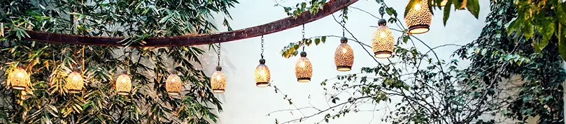 High Net Worth Insurance in Spokane, WA - Image of hanging lights in greenery.